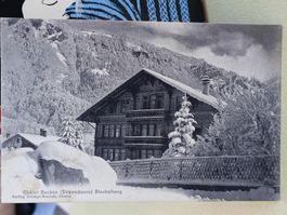 Alte PK / Chalet Secken - Stachelberg Familie Glarner - 1905