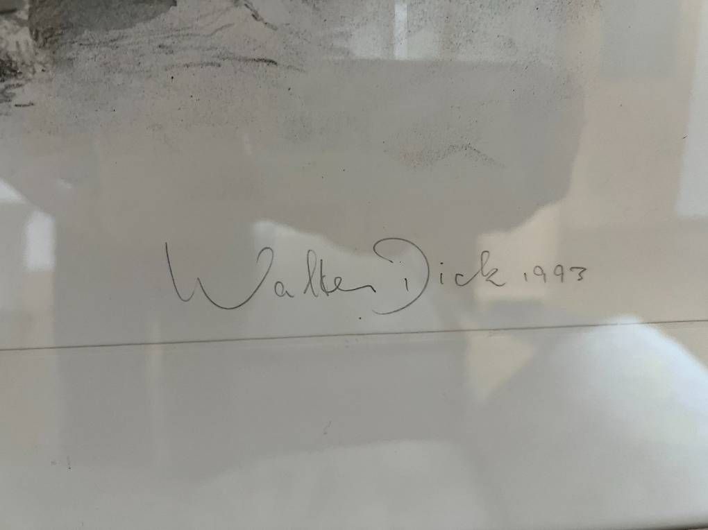 Foto & Immagini: Walter Dick 1993 EA – Usato da Stäfa venduto da boohoosu 2