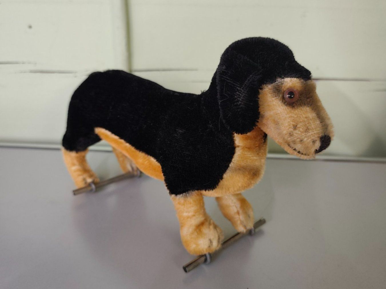 Steiff Giocattoli: Stofftier Steiff Dackel Hund – Usato da Goldswil b. Interlaken venduto da troedlermarkt-goldsw