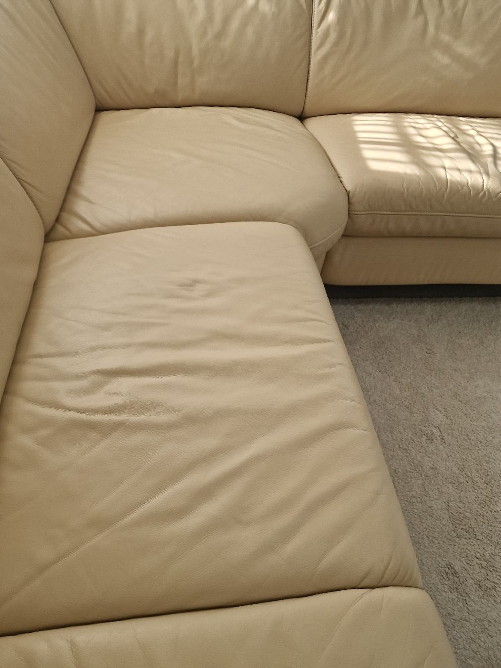 Divani: Ecksofa Echtleder XXLUTZ – Usato da Amriswil venduto da gu80kaya 3