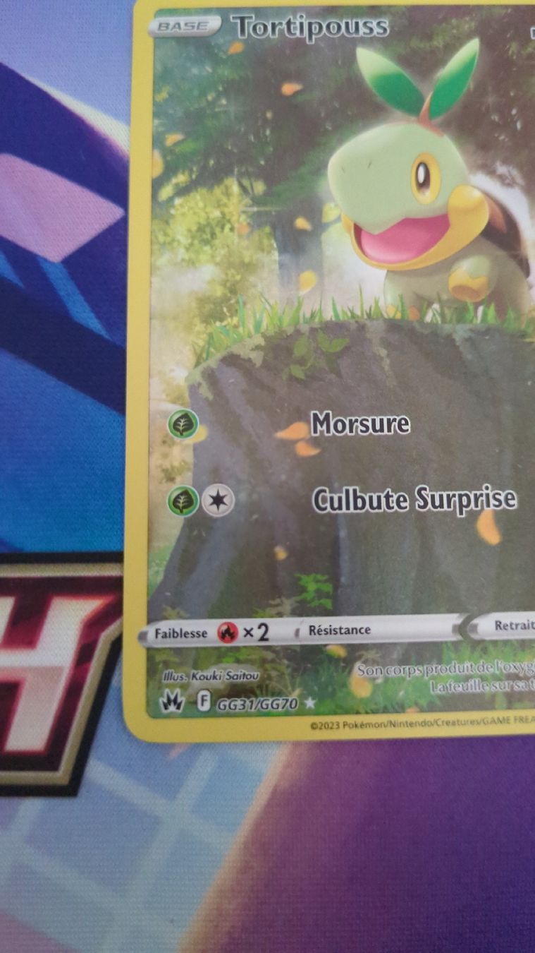 Pokémon Carte collezionabili: Carte Tortipouss - Zenith Supreme – Usato da Genève venduto da ims1 4