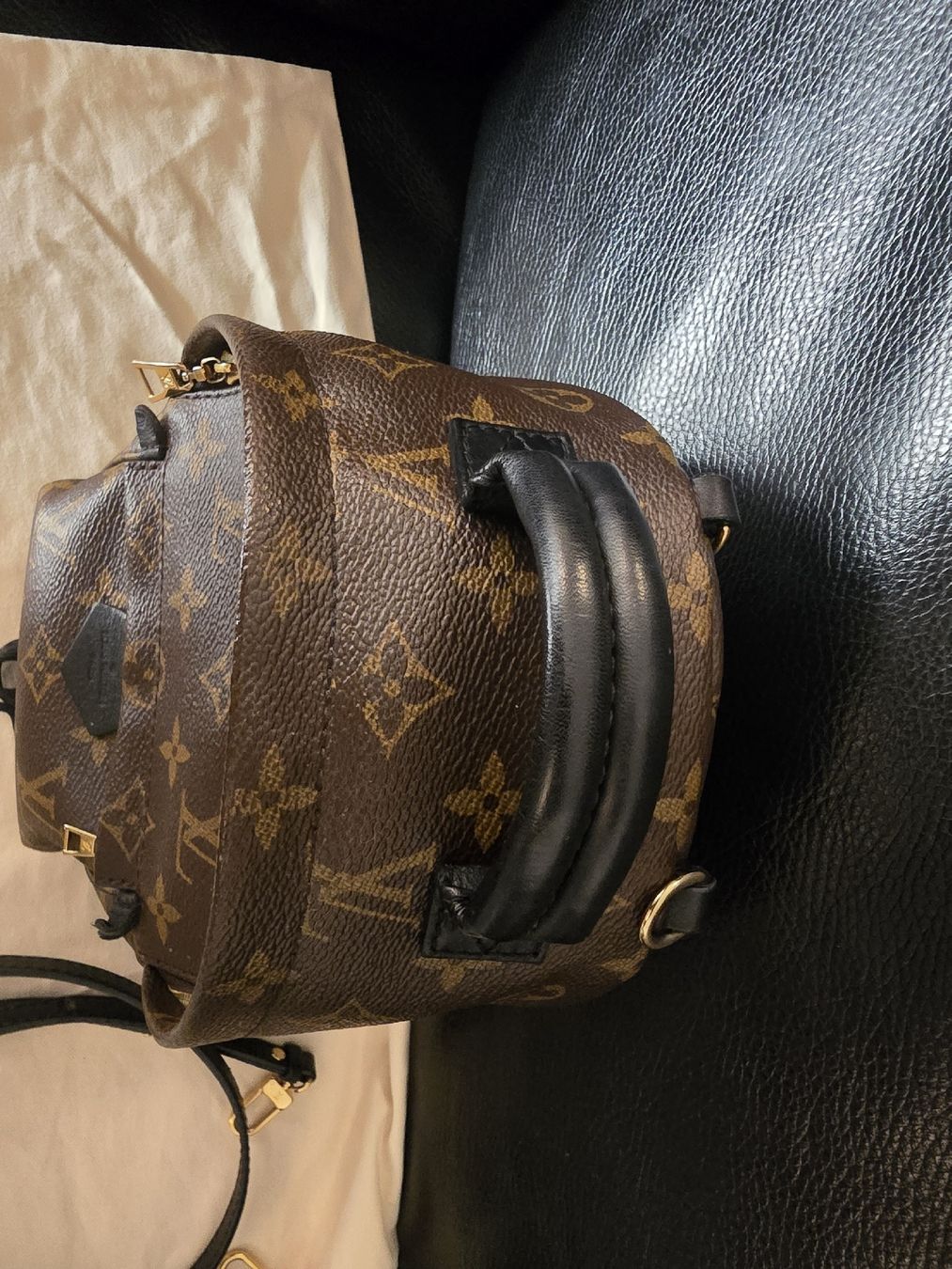 Louis Vuitton Taschen: Louis Vuitton M44873 Palm Springs Mini – Gebraucht aus Gattikon von lavric_d 4