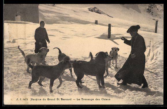 Cartoline postali: Bourg-Saint-Pierre, Hospice du Grand St. – Usato da Berlin venduto da bartko-reher