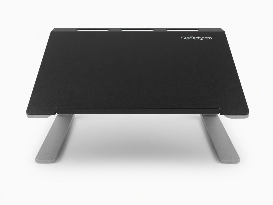 Racks & Ständer: Verstellbarer Laptop-Ständer / Notebook-Riser – Gebraucht aus Oberwil BL von iba_d7g8