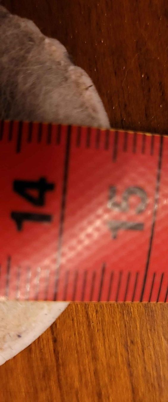 Naturino Schuhe für Jungen: Stiefel Naturino Rainstep Gr. 23 – Gebraucht aus Bözberg von Dave17 8