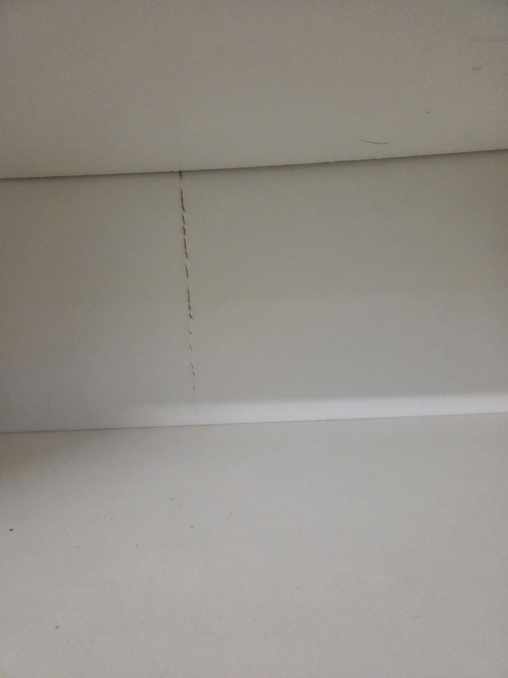 Ikea Scaffali: Billy Bücherregal – Usato da Embrach venduto da Sportler87 3