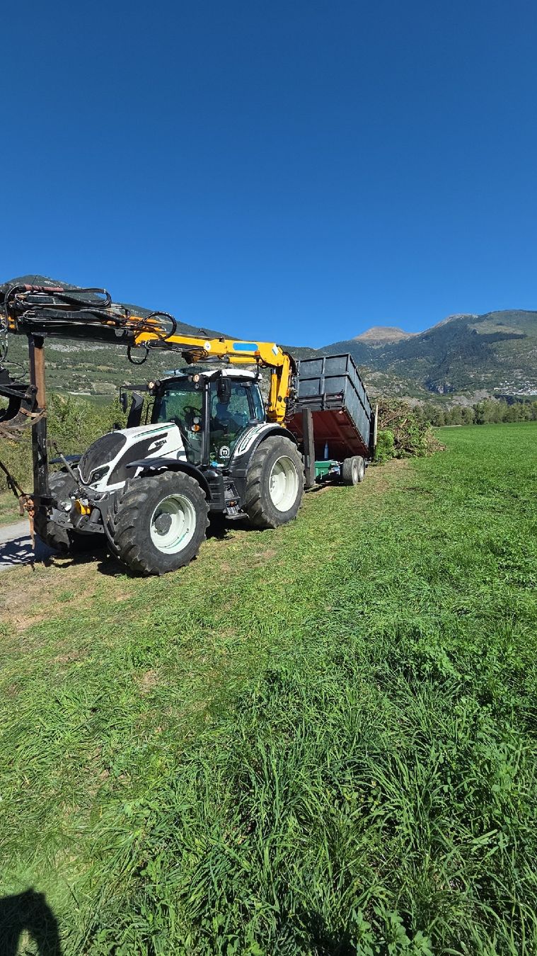 Gru: Effer Kran   – Usato da Leukerbad venduto da Noyer01 1
