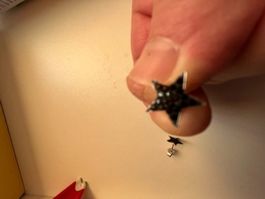 Ohrstecker / Ohrring  Stern  ⭐️