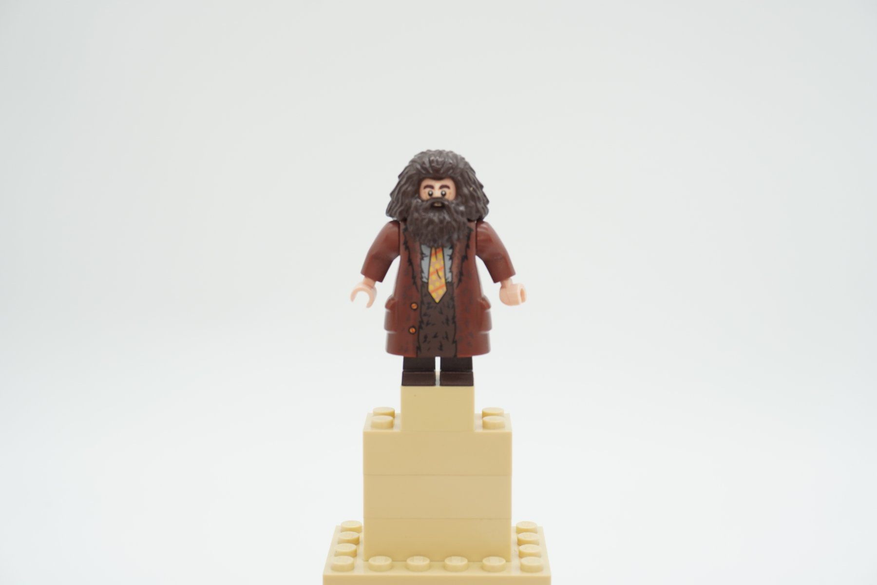 Lego Spielzeuge: Lego Harry Potter Rubeus Hagrid Bundle – Gebraucht aus Zürich von PWGrZ 3