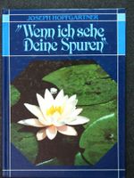 J.Hopfgartner Wenn ich sehe deine Spuren