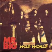 Mr. Big Vinyl Single von 1993