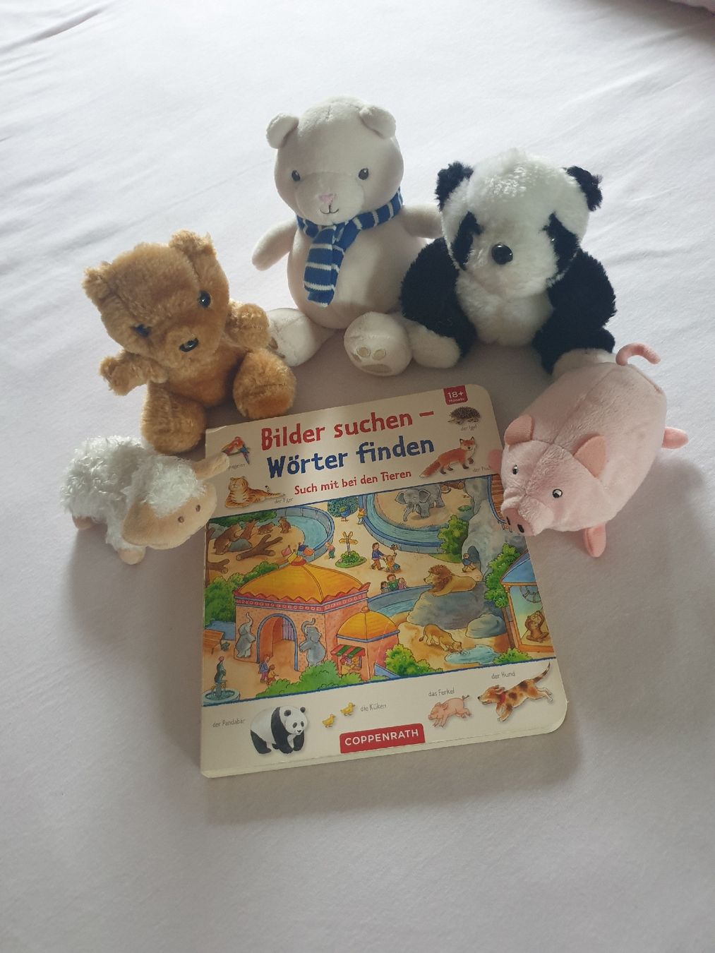 Giocattoli: Tierbuch Bilder suchen & 5 passende Kuscheltiere – Usato da Winterthur venduto da ivo_hmm2