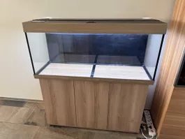 Aquarium Juwel Rio 240L inkl. Unterschrank