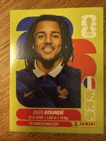 Panini Fifa FRA 5