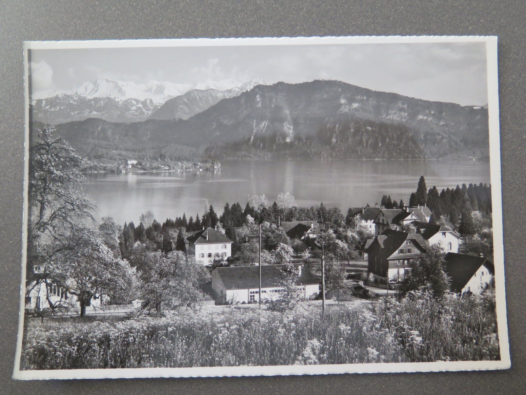 Cartoline postali: MEGGEN - MIT DEN ALPEN – Usato da Wittenbach venduto da lipasal