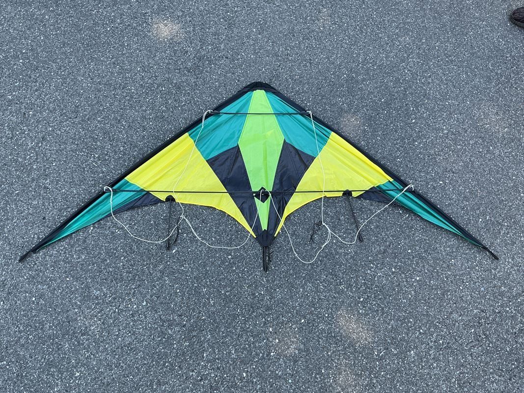 Kite: GÜNTHER Active Loop Sportlenkdrachen – D'occasion à Richterswil par Restwert_Richterswil 2