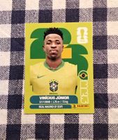 Vini Jr.