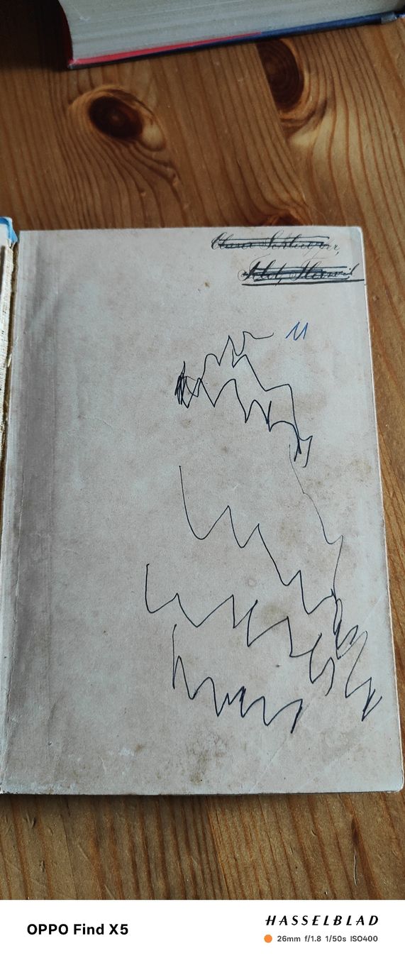 Libri: Heimatlos – Usato da Volken venduto da katz5 1
