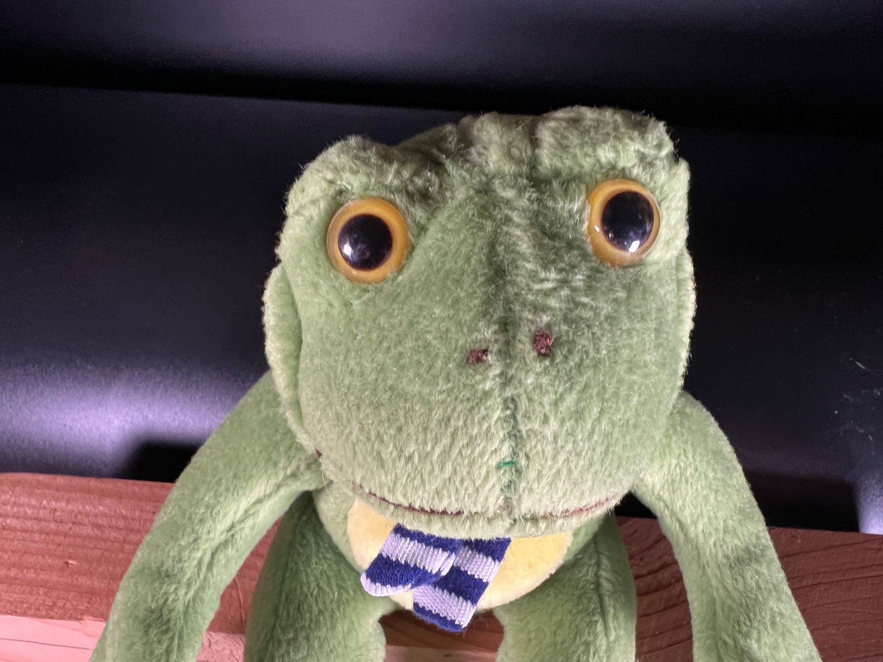 Giocattoli: Stofftier Frosch mit Schal sitzend gebraucht – Usato da Häusernmoos venduto da adlerfedern 3