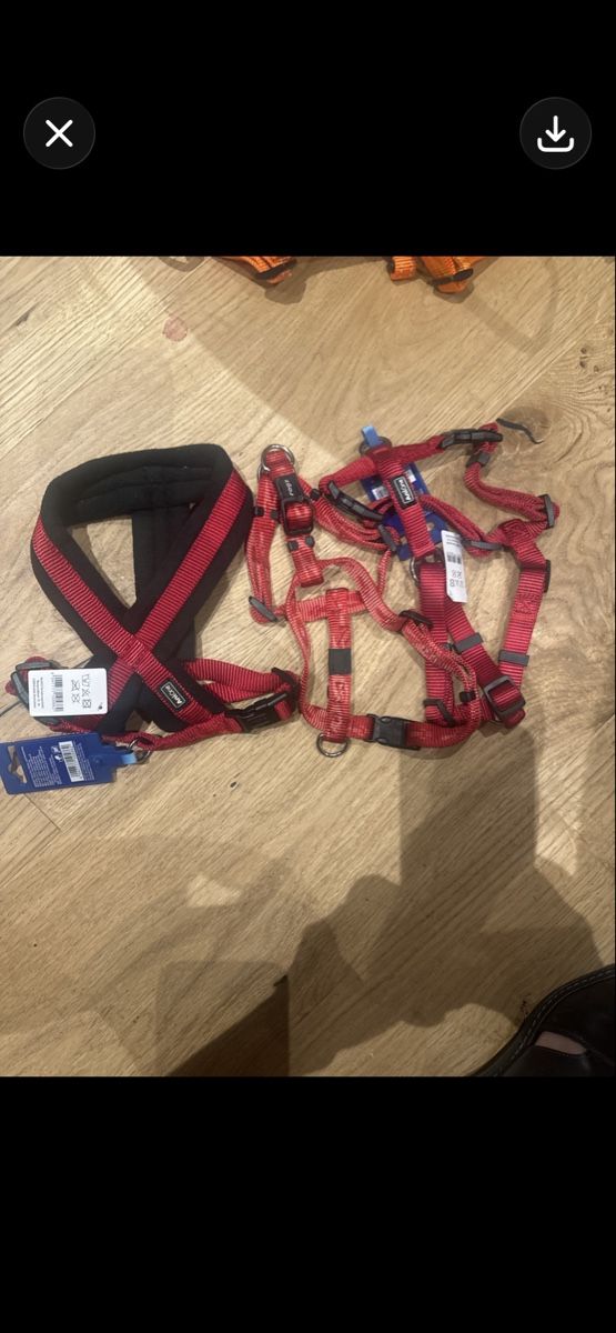 Leine & Halsband: 50 Stück neue Hundegeschierre – Neu (gemäss Beschreibung) aus Trübbach von alder.m 7