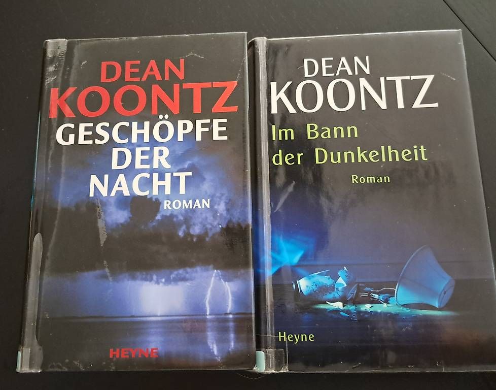 Libri: Dean Koontz 2er Set  – Usato da Baden venduto da naira8
