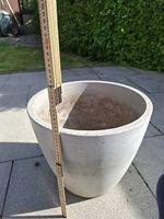 Pflanzentopf aus Beton- 12 Stück  vorhanden