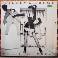 LP - Godley & Creme - Birds Of Prey