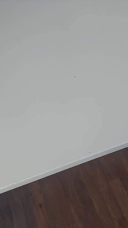 Kare Schreibtische: Schreibtisch weiss Kare Design - ab 1chf – Gebraucht aus Schlieren von Sant0ryu 3