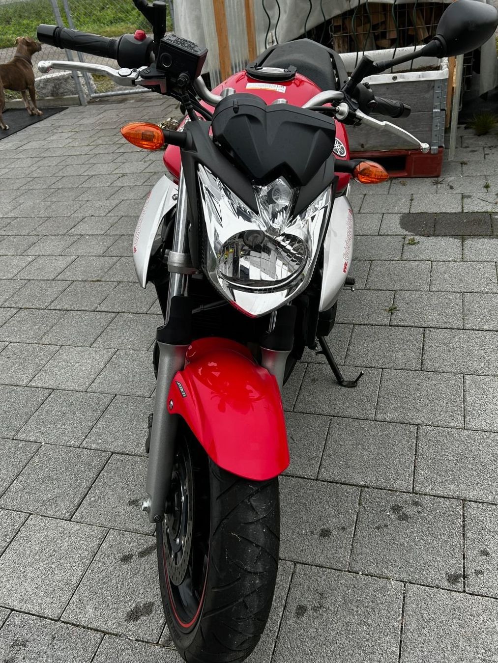 Yamaha Strada: Yamaha XJ6 NA  ABS – Usato da Egliswil venduto da didiflu 2