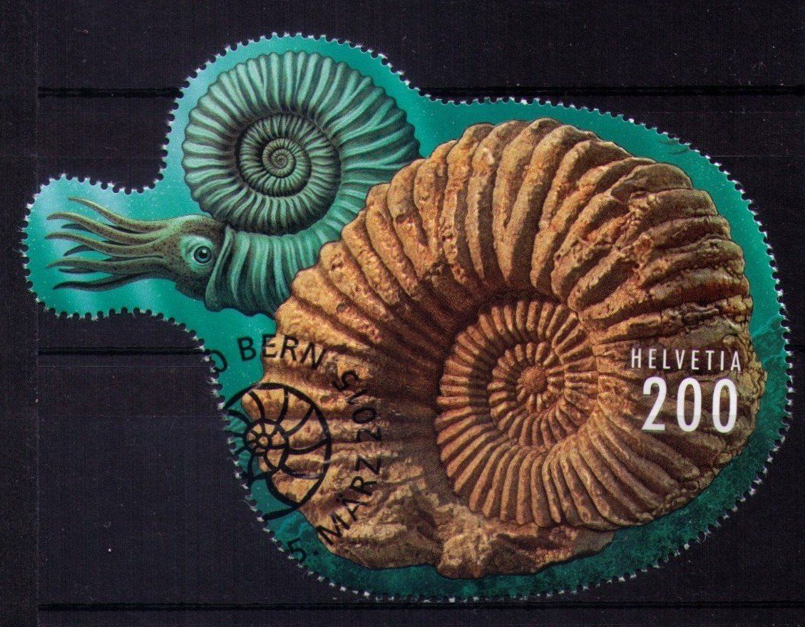 Tutti i francobolli: 2015_1543 AMMONIT-BLOCK & AUSSCHNITT_Set ERSTTAG ! – Usato da Marthalen venduto da Ch_quality 2