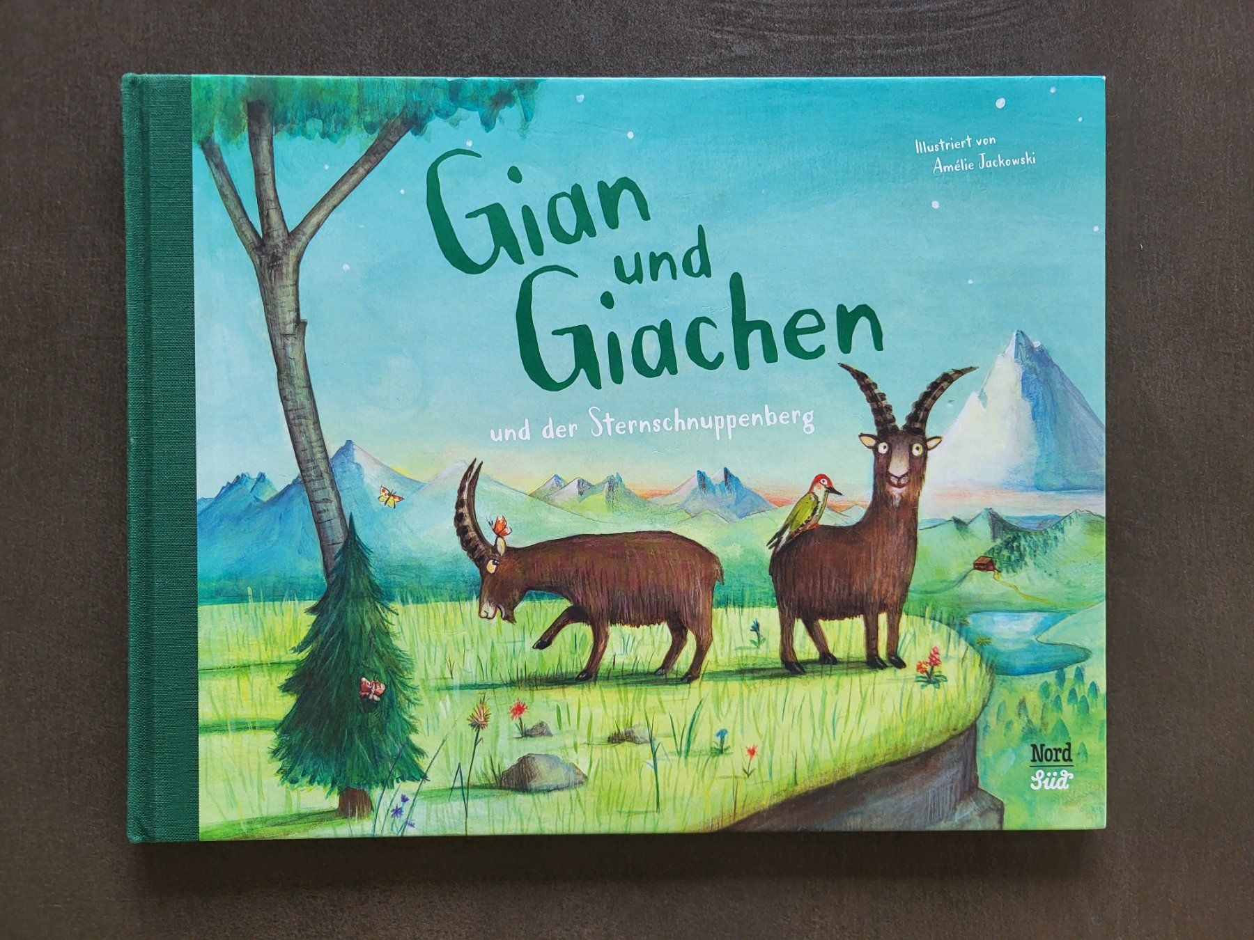 Libri: Gian und Giachen – Usato da Gampelen venduto da cli_2thg