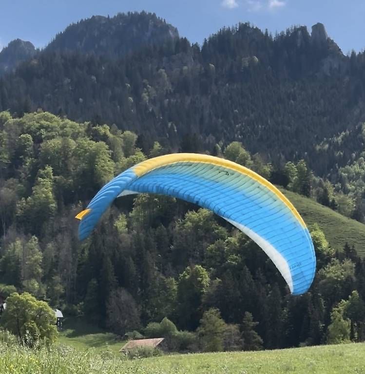 Altro: Parapente Advance Iota  – Usato da Vuadens venduto da dav_fs7q