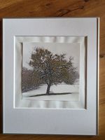 Fotographie Bild wunderbarer Baum im Winter