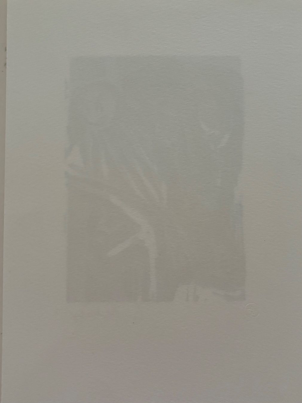 Xilografie: Werner Persy (1924-2017), Farblinolschnitt, handsigniert – Usato da Frauenfeld venduto da Merk52 2