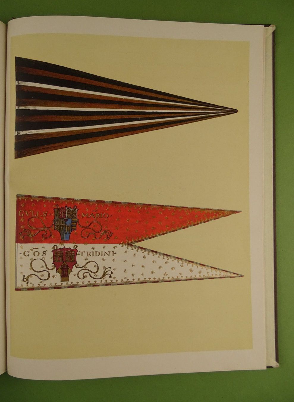 Libri: GLARNER FAHNENBUCH, 1928 GLARUS – Usato da Grüningen venduto da Kartensammler 6