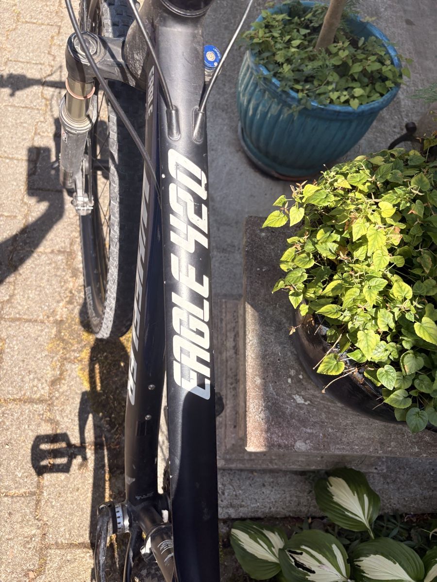 Wheeler Biciclette: Mountainbike Wheeler Eagle 420 MTB schwarz – Usato da Gelterkinden venduto da Bearick 2