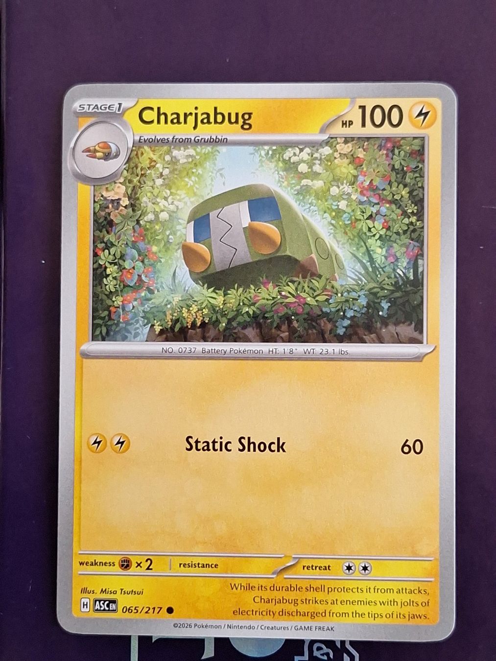 Pokémon Sammelbilder & Trading cards: Charjabug - Pokemon Ascended Heroes – Gebraucht aus Altstätten SG von GGsGameshop