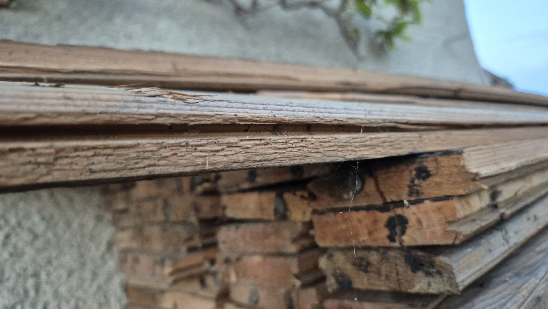 Articoli in legno: Bretter, Täfer, Holz – Usato da Wetzikon ZH venduto da Fagus 2