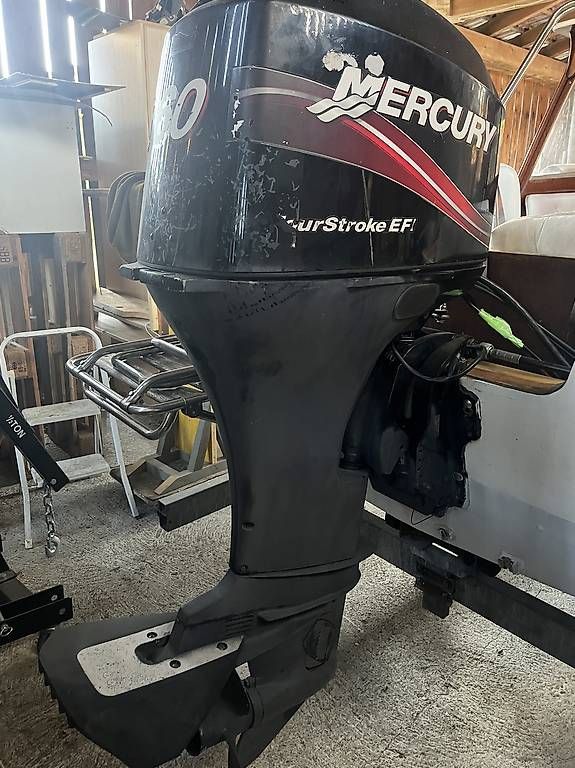 Mercury Motori: Mercury 60 PS Aussenborder Einspritzer – Usato da Wittnau venduto da Ricartutti