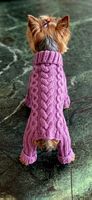 🐶 Handgemachte Jumpsuit Hundepullover aus Wolle – Grösse L