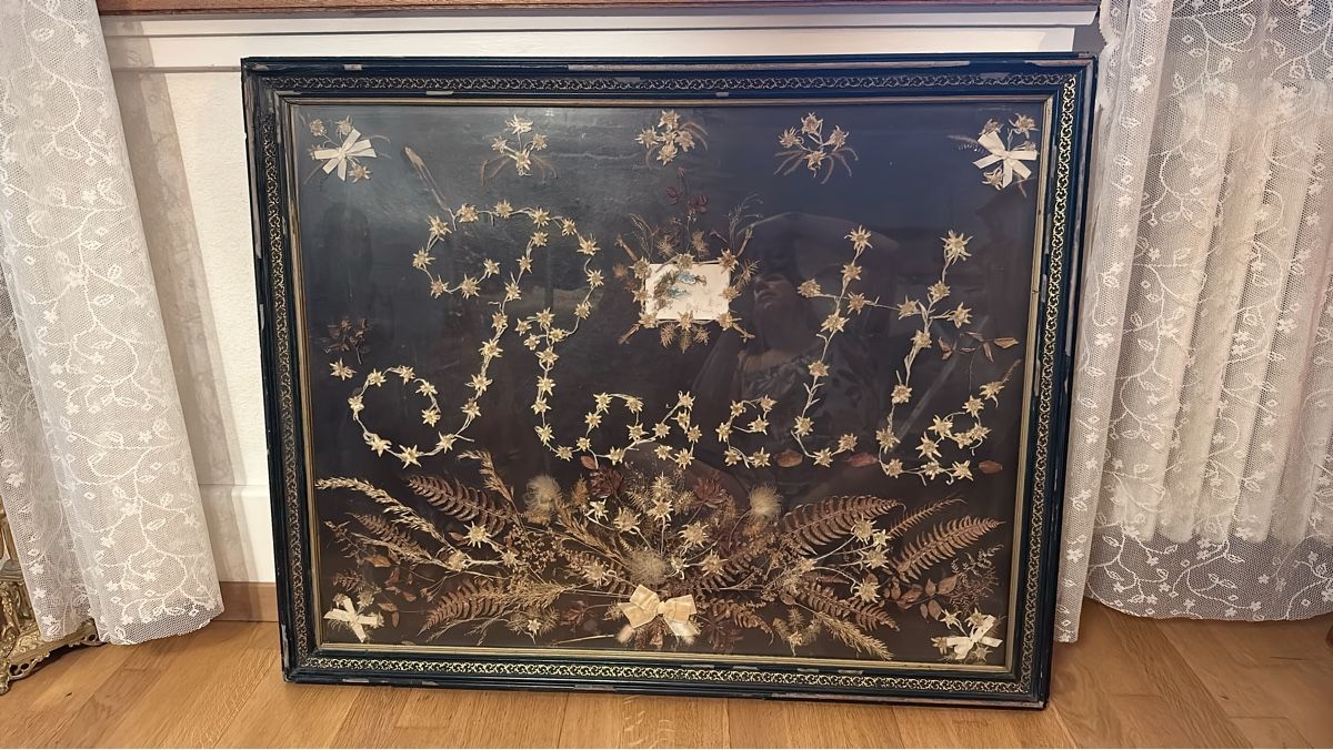 Dipinti:     Herbarium Kunstbild  – Usato da Bern venduto da HA-De