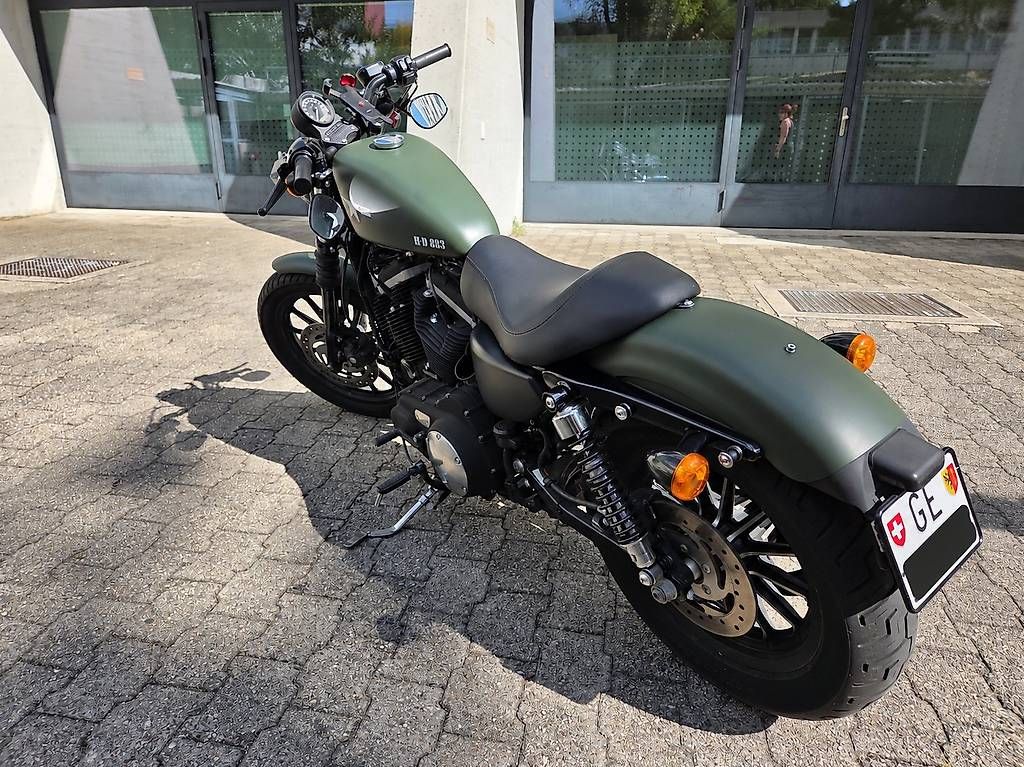 Cruisers: Harley-Davidson XL 883 – D'occasion à La Croix-de-Rozon par SDI_83 4