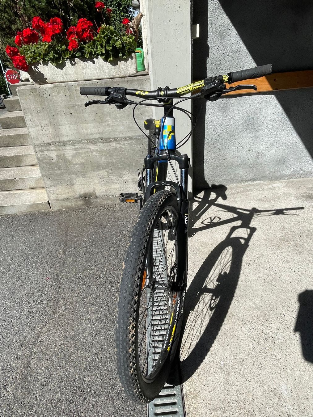 Bixs Biciclette: Kinder Mountainbike – Usato da Gunten venduto da Ruth2 3