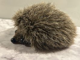 Plüschtier Igel