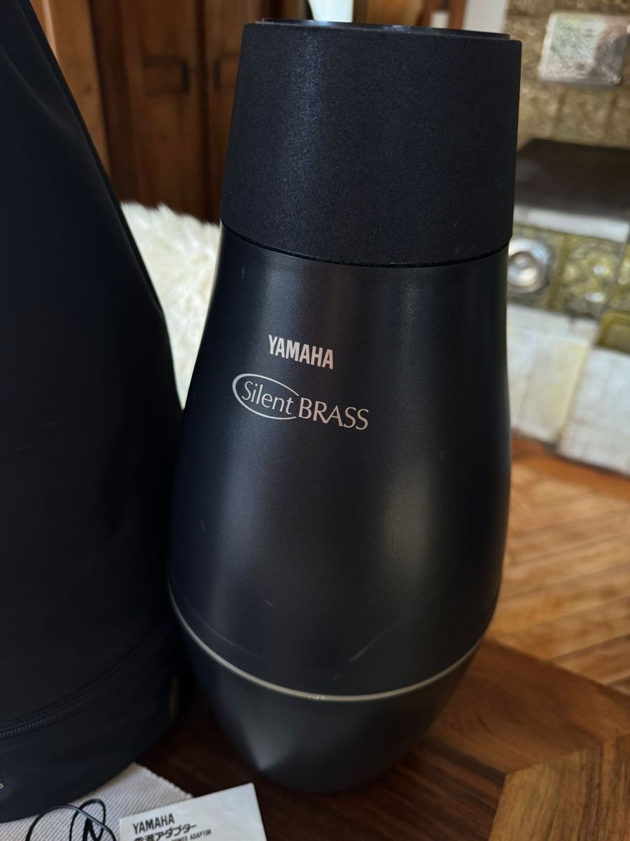 Strumenti musicali: Euphonium – Usato da Laupen ZH venduto da jejasti73 5