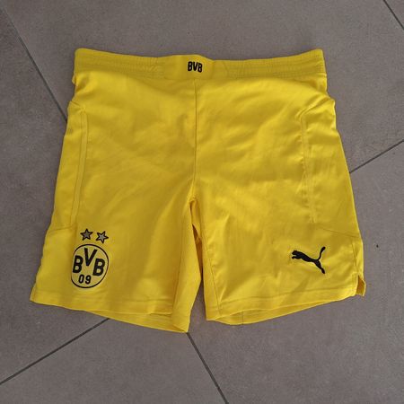 puma bvb09 S 