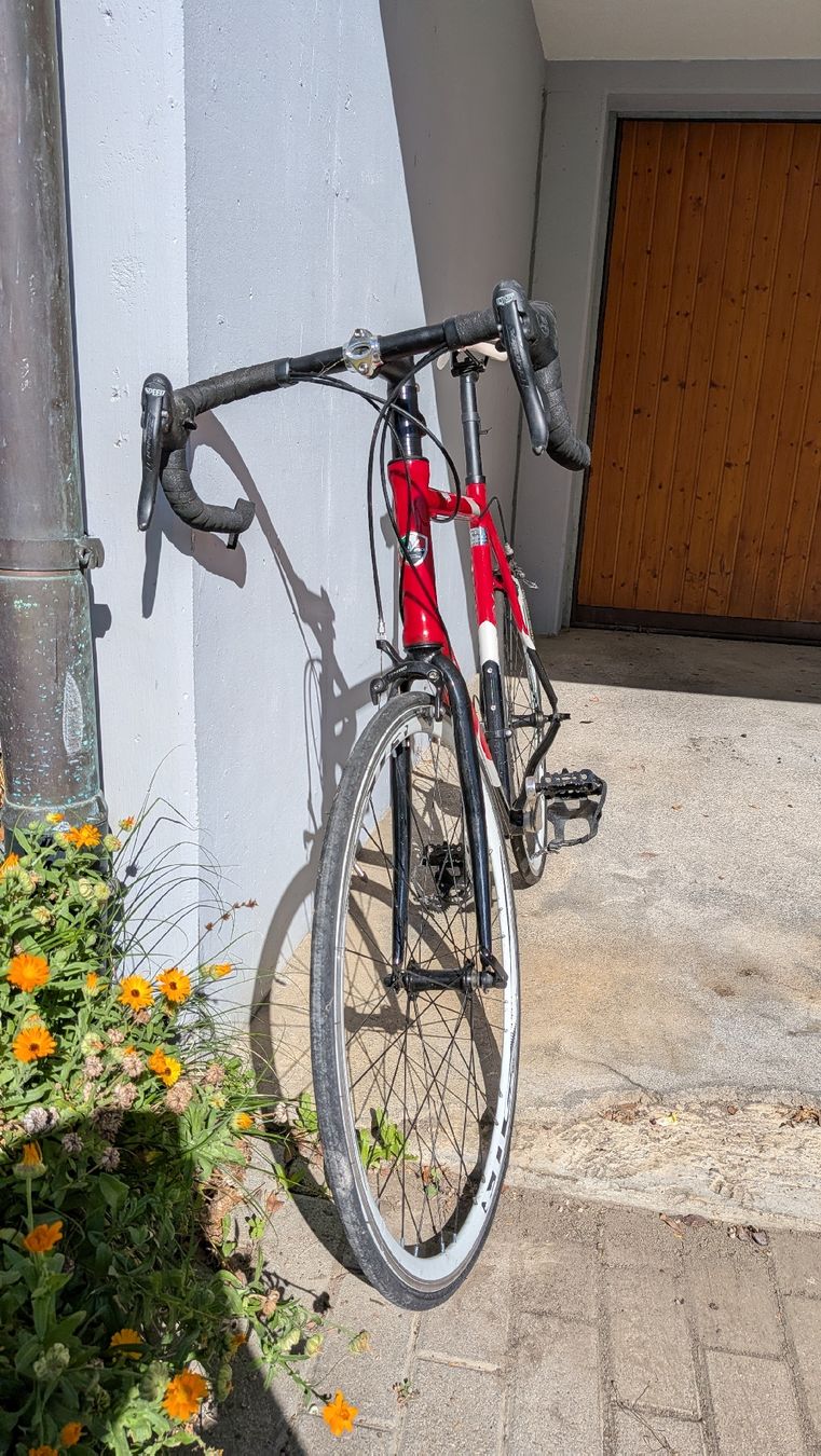 Velos: Rennrad Da Vinci – Gebraucht aus Rebstein von tiranozzz 1