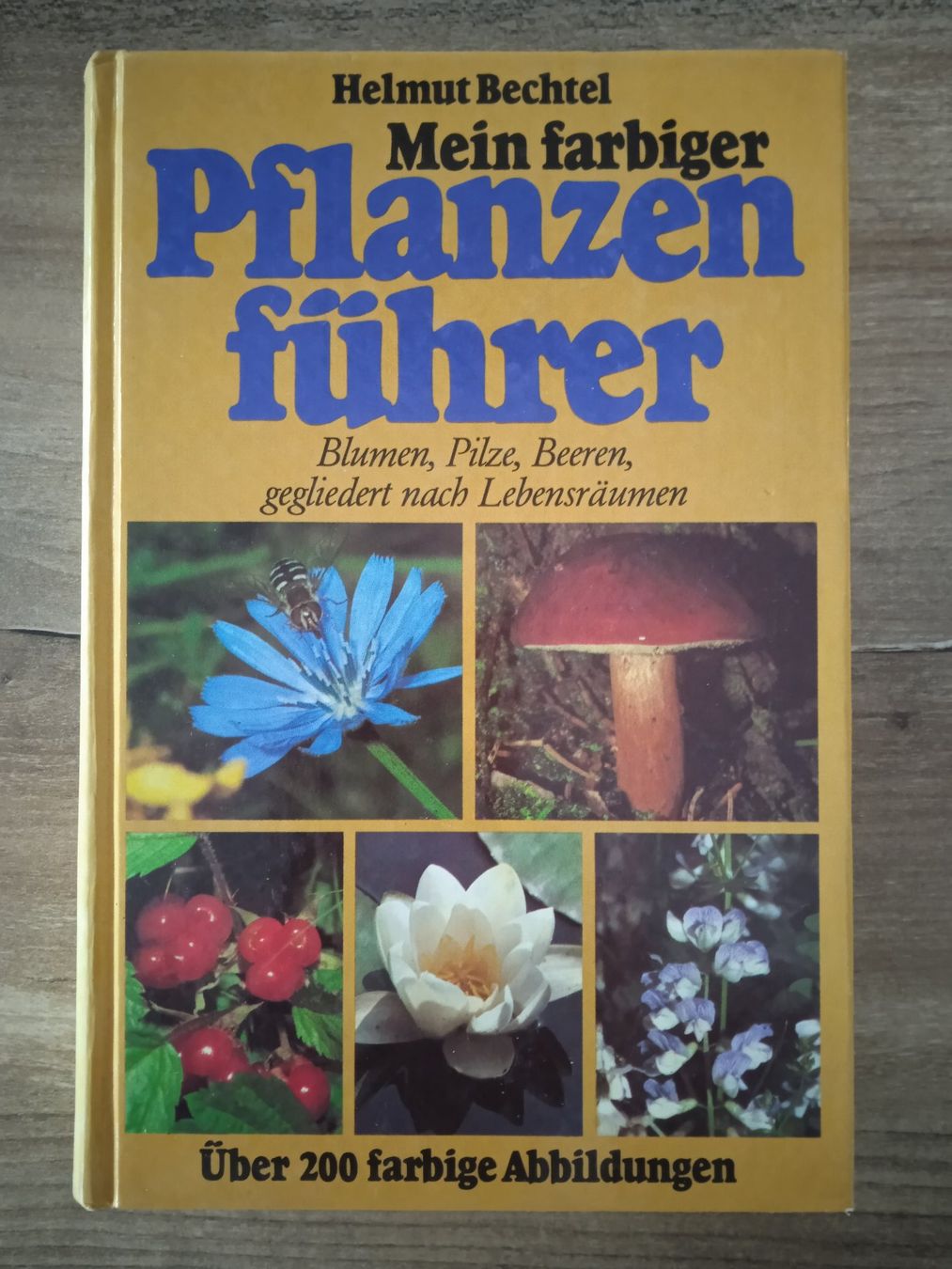 Libri: Pflanzenführer – Usato da Rothrist venduto da MaSa82