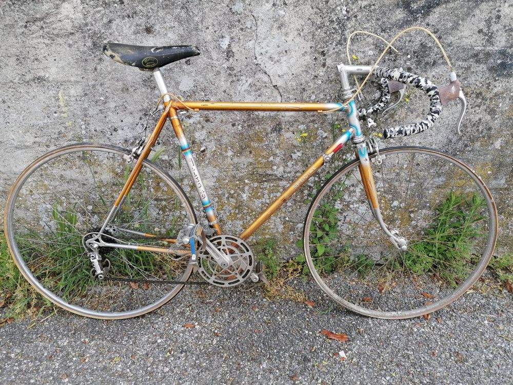 Allegro spécial campagnolo Kaufen auf Ricardo