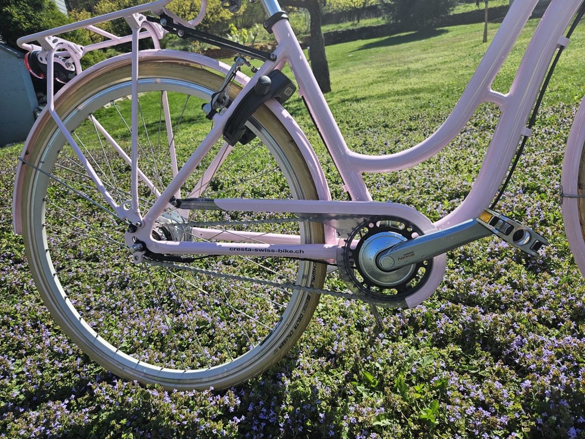 Cresta Biciclette: Vélo Cresta Boulevard rose, avec panier et accessoires – Nuovo (secondo la descrizione) da Martigny venduto da ctr200 7